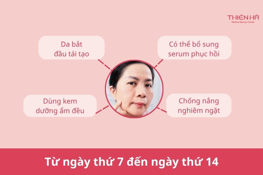 Từ ngày 7 – 14