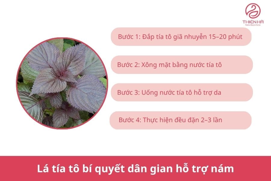 Top 5 cách trị nám gò má tại nhà hiệu quả dễ thực hiện 2 Lá tía tô bí quyết dân gian hỗ trợ nám