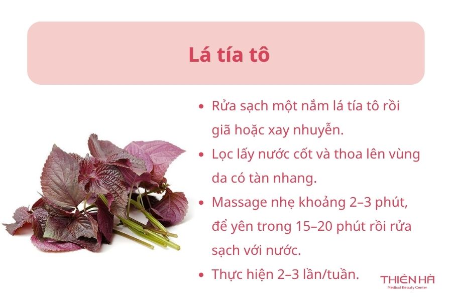 Lá tía tô trị tàn nhang 