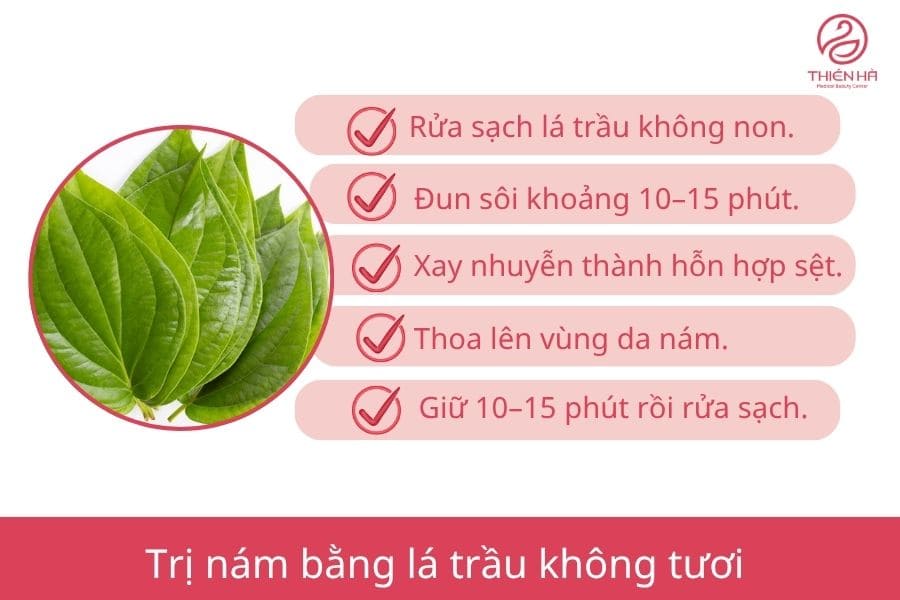 Điều trị nám bằng lá trầu không: Hướng dẫn từ A–Z hiệu quả 2 Cách trị nám bằng lá trầu không tươi dễ áp dụng tại nhà