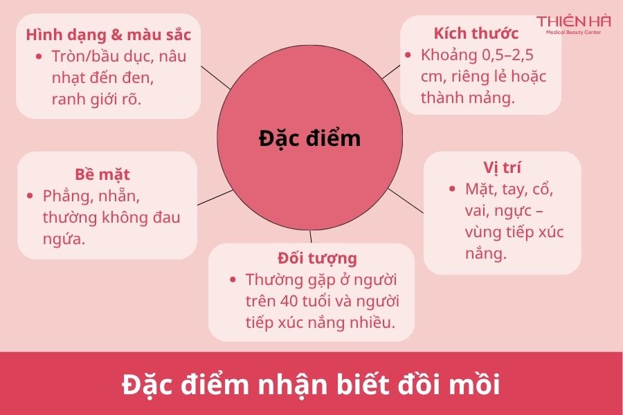 Đồi mồi là gì? Có nguy hiểm không và cách xử lý hiệu quả 2 Đặc điểm nhận biết đồi mồi