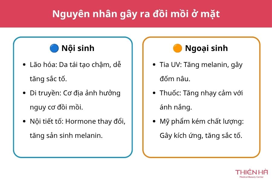 Đồi mồi là gì? Có nguy hiểm không và cách xử lý hiệu quả 3 Nguyên nhân gây ra đồi mồi trên da mặt