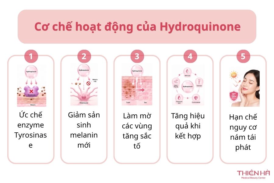 Cơ chế hoạt động của Hydroquinone