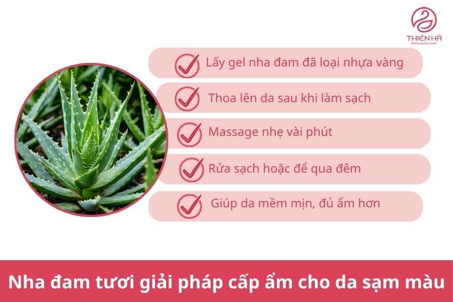 Mặt nạ trị nám tại nhà: Công thức và cách dùng hiệu quả 3 Nha đam tươi – giải pháp cấp ẩm cho da sạm màu