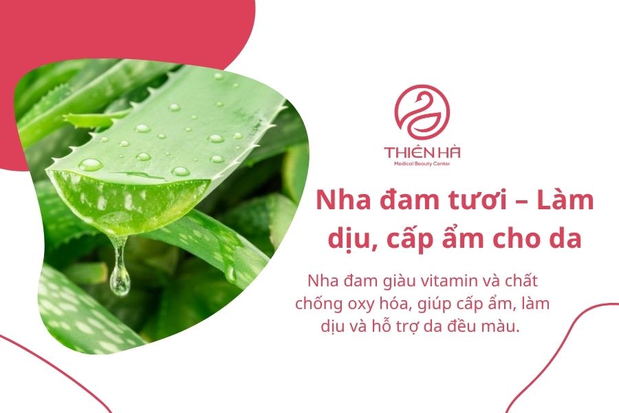 Nha đam tươi – Giải pháp làm dịu và cấp ẩm cho làn da nhạy cảm