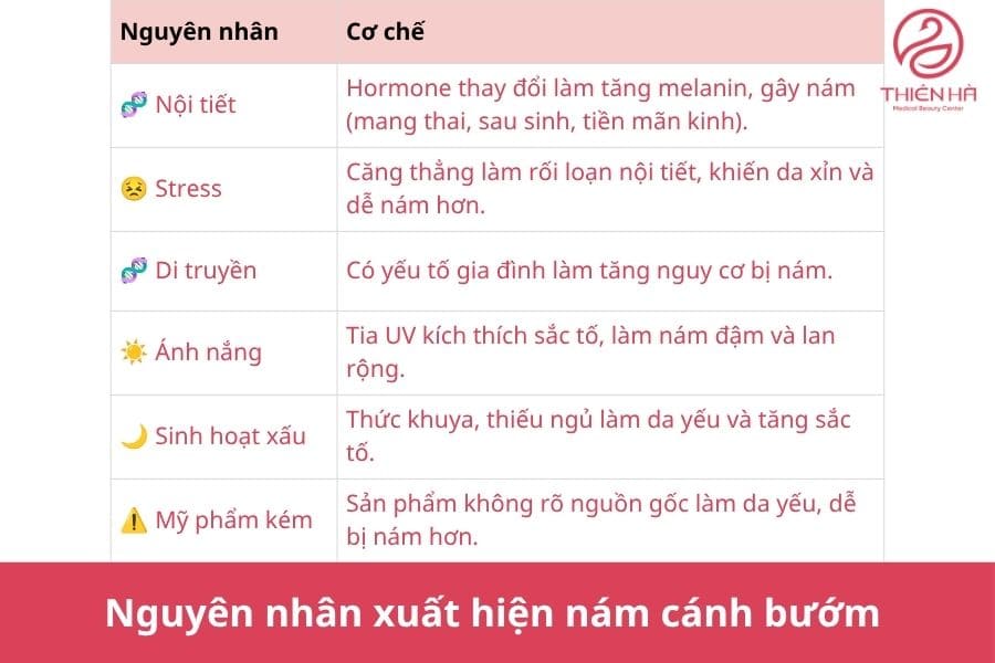 Nguyên nhân xuất hiện nám cánh bướm 