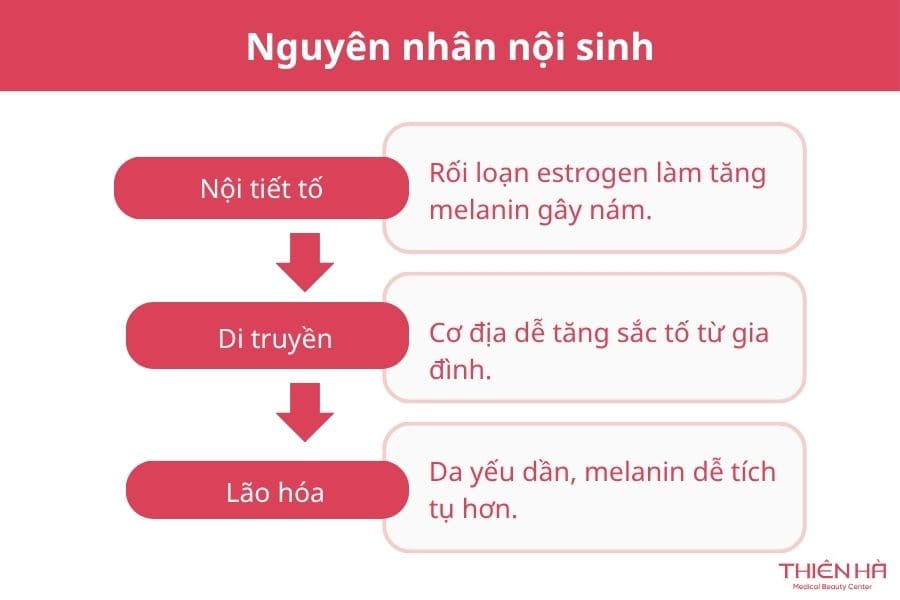 Nám đốm là gì? Nguyên nhân và cách điều trị nám đốm từ A-Z 4 Nguyên nhân nội sinh