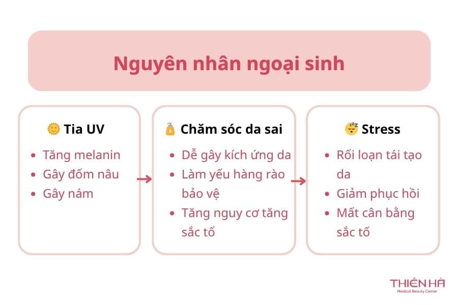 Nám đốm là gì? Nguyên nhân và cách điều trị nám đốm từ A-Z 5 Nguyên nhân ngoại sinh