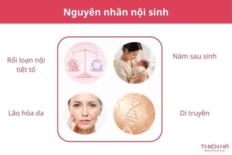 Nguyên nhân nội sinh