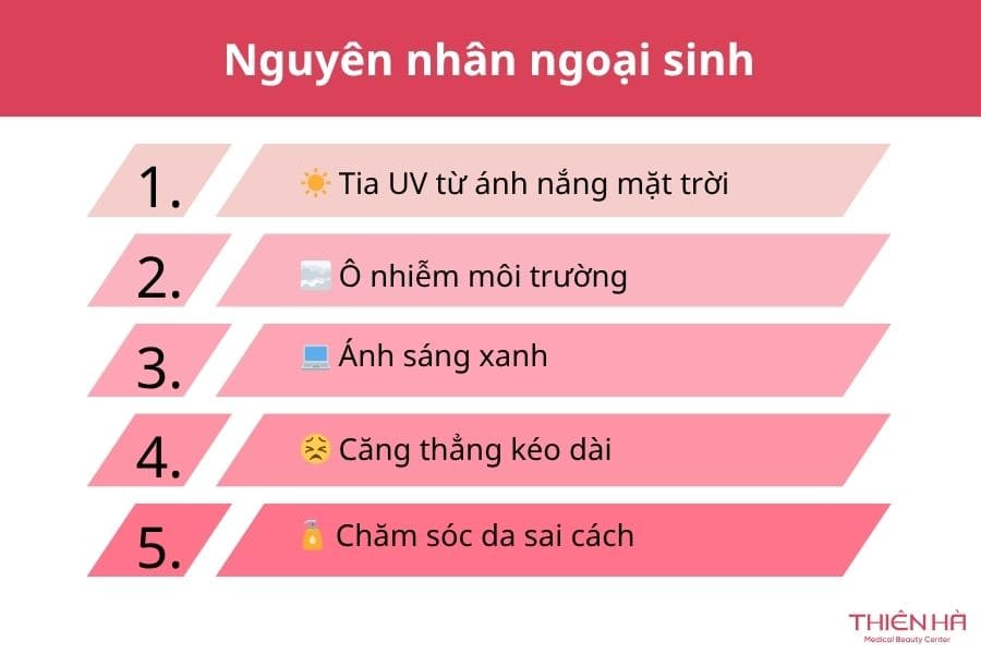 Nguyên nhân ngoại sinh 