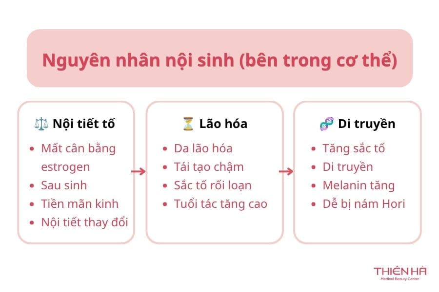 Nám Hori là gì? Giải pháp điều trị nám Hori an toàn, hiệu quả 3 Nguyên nhân nội sinh bên trong cơ thể