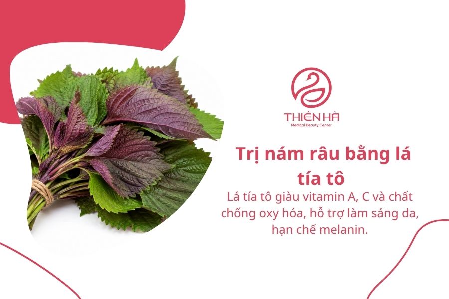 Cách trị nám râu bằng lá tía tô