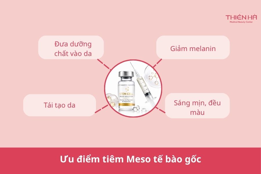 Tế bào gốc trị nám là gì? Hiệu quả và chi phí thực tế 5 Tiêm Meso tế bào gốc