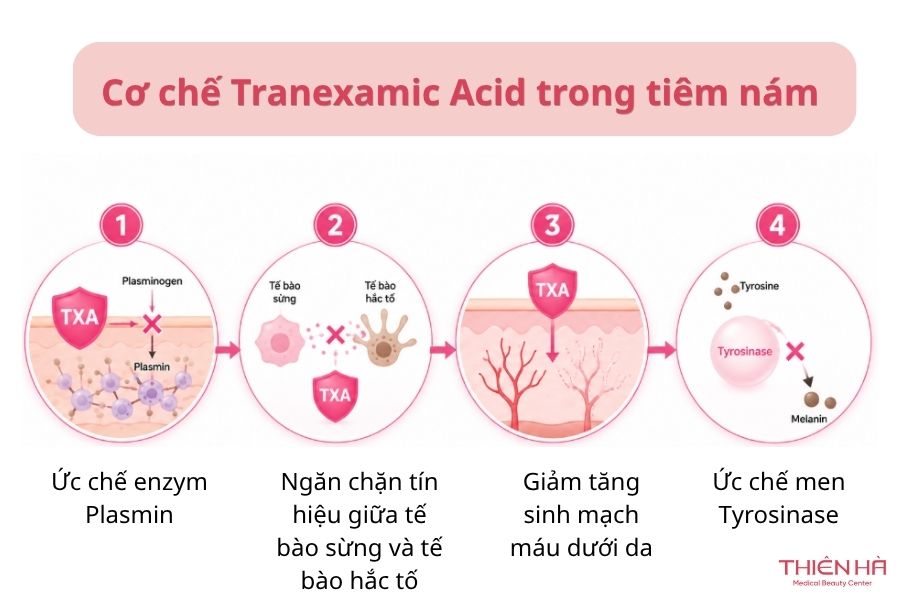 Tranexamic Acid tiêm nám: Hiệu quả, liều lượng và lưu ý 2 Cơ chế Tranexamic Acid trong tiêm nám hoạt động như thế nào?
