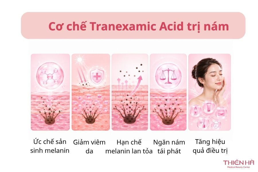 Cơ chế Tranexamic Acid trị nám