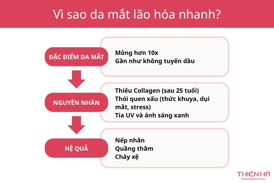 Vùng da mắt là nơi nhạy cảm, dễ bị tổn thương và lão hóa nhanh nhất trên mặt vì luôn chịu nhiều tác động xấu