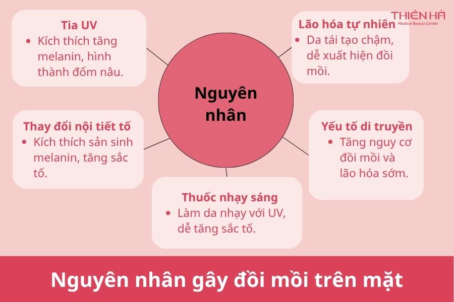 Hướng dẫn trị đồi mồi ở mặt đúng cách, ngừa tái phát hiệu quả 1 Nguyên nhân gây đồi mồi trên mặt