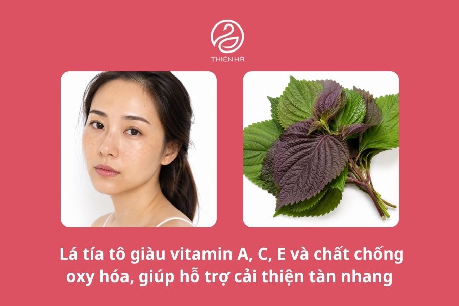 Trị tàn nhang bằng lá tía tô: Hướng dẫn chi tiết dễ làm 1 Công dụng của lá tía tô trong việc trị tàn nhang