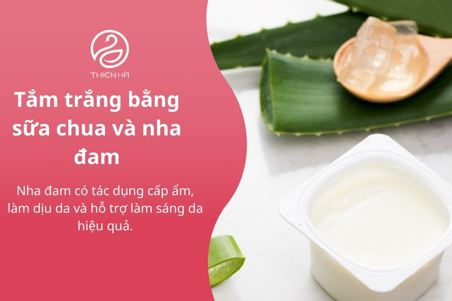 Nha đam khi kết hợp với sữa chua giúp cho công thức tắm trắng của chị em phát huy hệu quả dưỡng ẩm, làm dịu và trắng sáng nhẹ nhàng