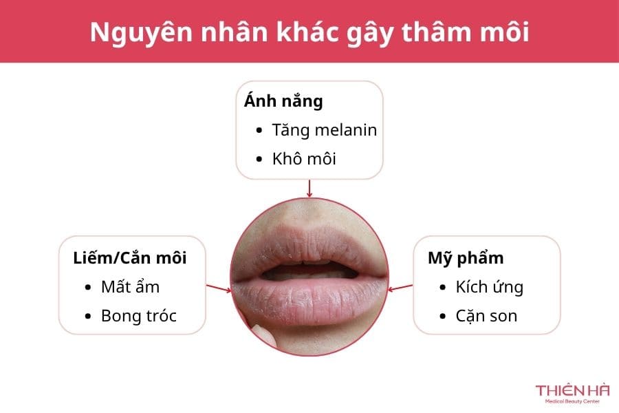 Nhiều thói quen xấu khác cũng khiến môi bị thâm 