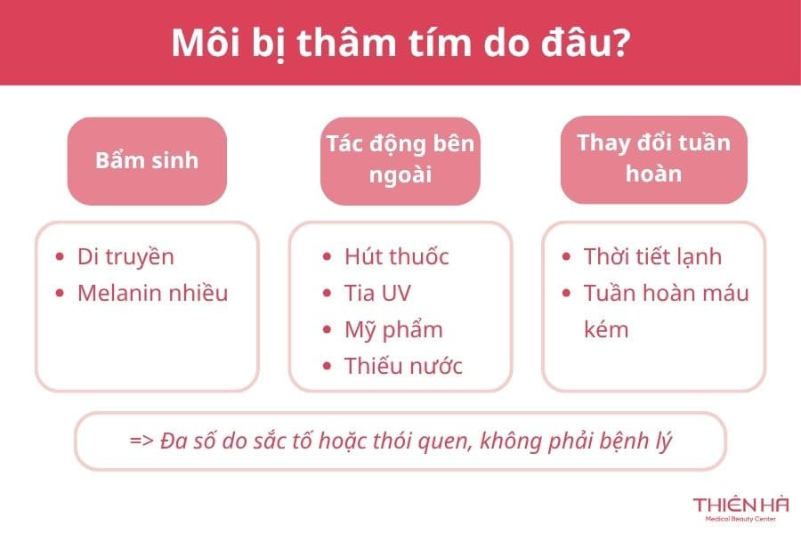 Môi bị thâm tím: Vì sao xảy ra và làm sao để cải thiện? 2 Nguyên nhân khiến môi bị thâm tím