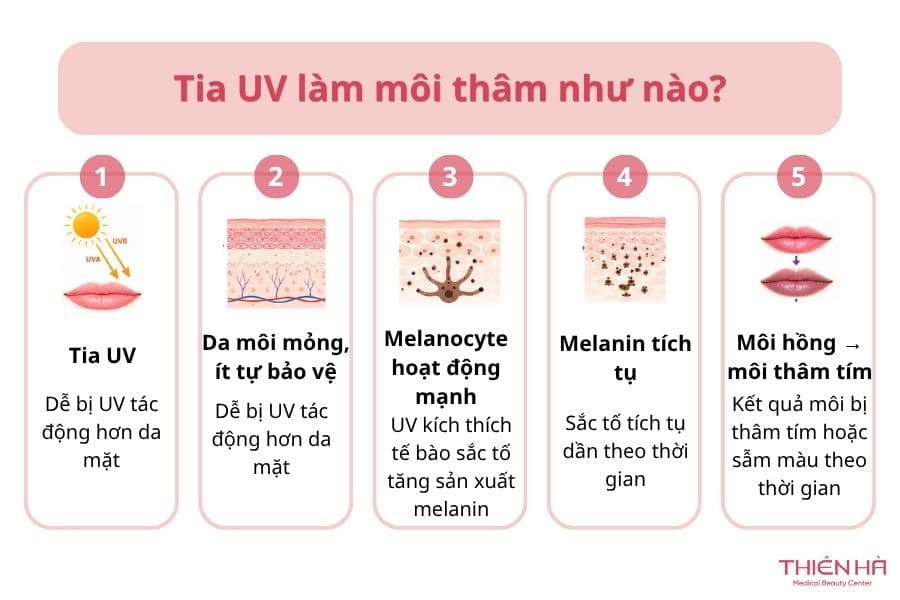 Môi bị thâm tím: Vì sao xảy ra và làm sao để cải thiện? 3 Tia UV làm môi bị thâm tím như nào?