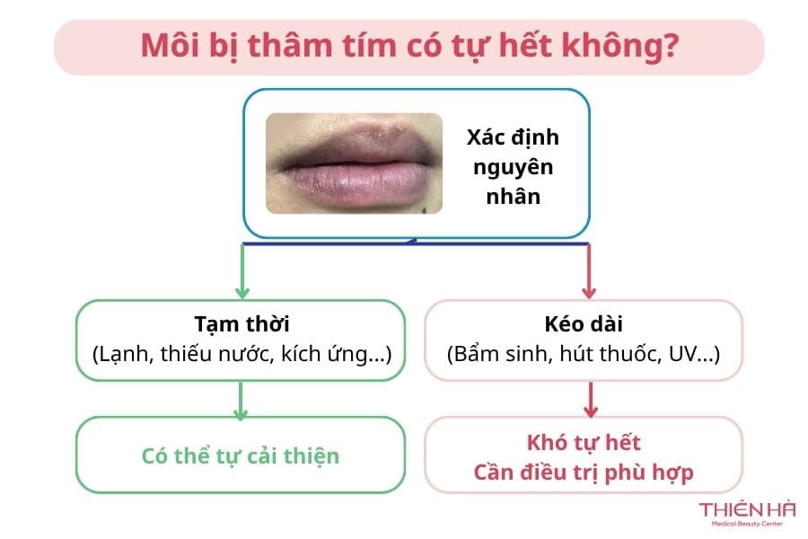 Môi bị thâm tím: Vì sao xảy ra và làm sao để cải thiện? 5 Môi bị thâm tím có tự hết không còn phụ thuộc vào nguyên nhân gây thâm tím môi