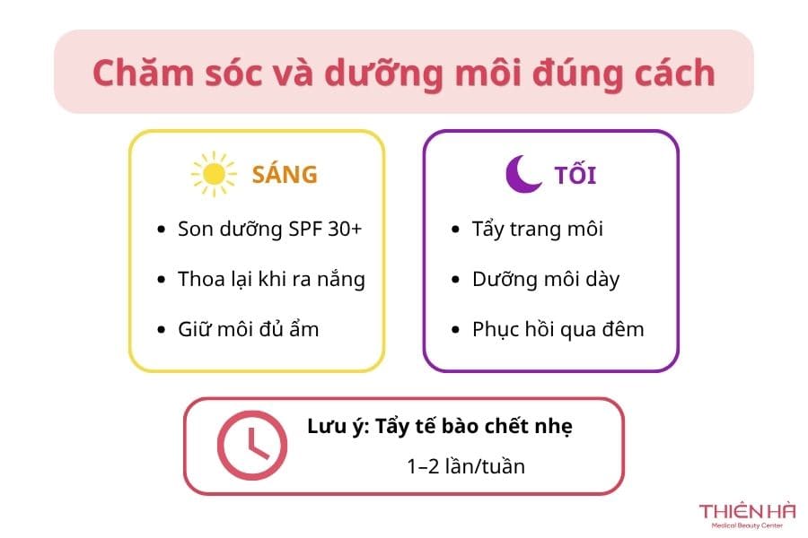 Môi bị thâm tím: Vì sao xảy ra và làm sao để cải thiện? 7 Chăm sóc và dưỡng môi đúng cách giúp bảo vệ và hỗ trợ cải thiện màu môi thâm tím