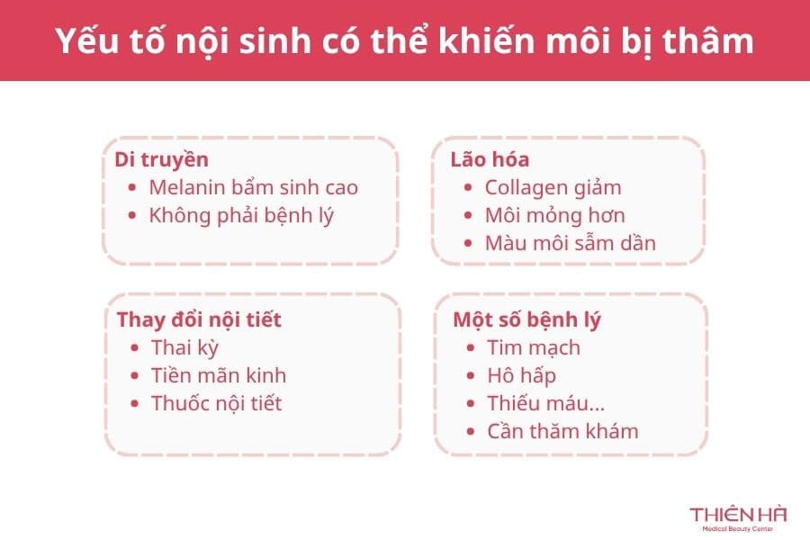 Yếu tố nội sinh không được kiểm soát khiến môi vẫn thâm dù đã chăm sóc đúng cách