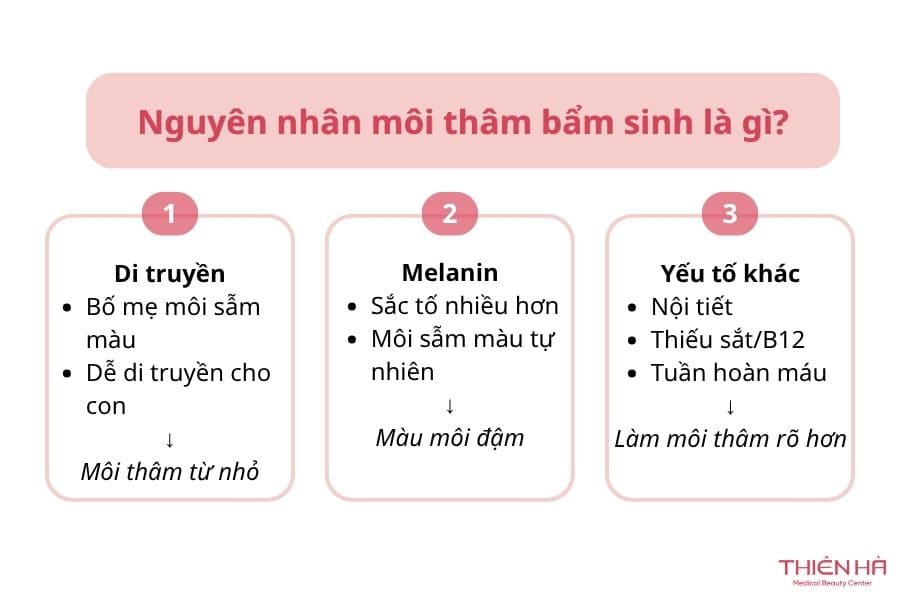 Môi thâm bẩm sinh có hết không? Giải pháp trị thâm hiệu quả 1 Các nguyên nhân gây môi thâm bẩm sinh
