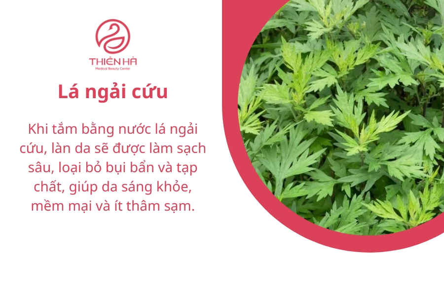 Lá ngải cứu thường được sử dụng trong các công thức tắm trắng tại nhà vì khả năng làm sạch sâu vào lỗ chân lông