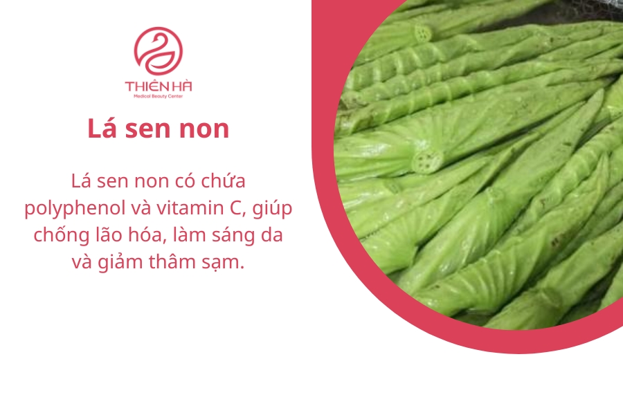Lá sen non không dễ tìm nhưng nó hoàn toàn có thể giúp bạn trắng da từ bên trong 