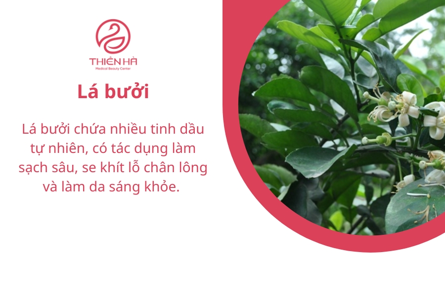 Lá bưởi được các bà các mẹ yêu thích sử dụng từ xa xưa 