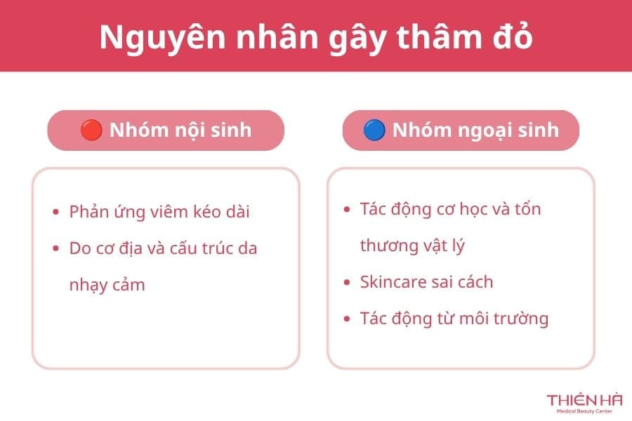 Thâm đỏ là gì? Thâm đỏ bao lâu thì hết và cách trị hiệu quả nhất 2 Nguyên nhân gây thâm đỏ
