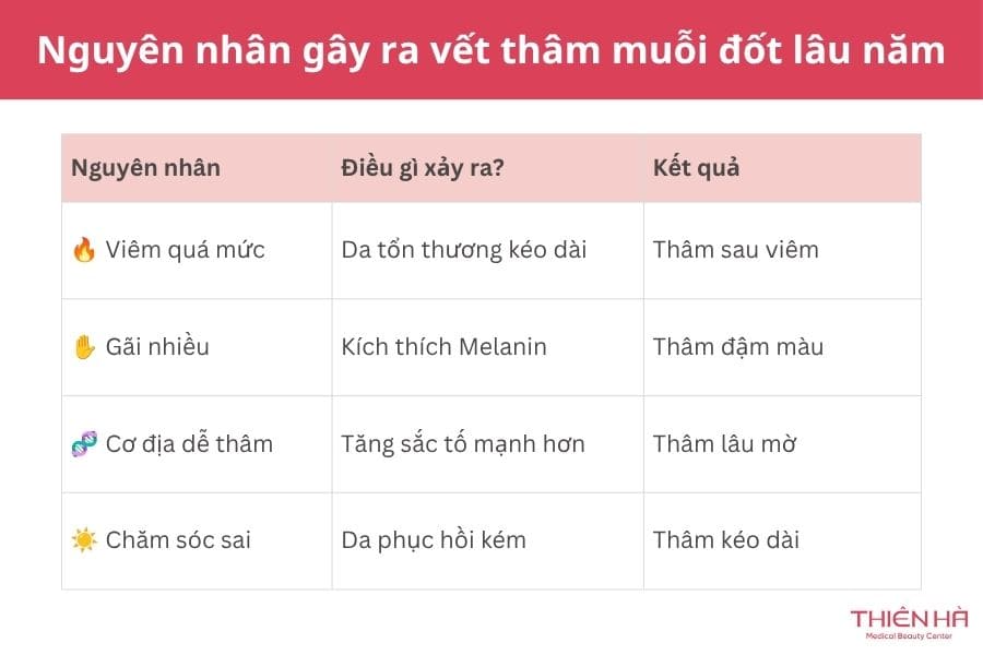Các nguyên nhân chính gây ra vết thâm muỗi đốt