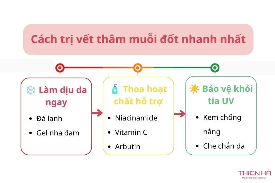 Ngay khi bị muỗi đốt để phòng ngừa thâm bạn hãy áp dụng các cách này