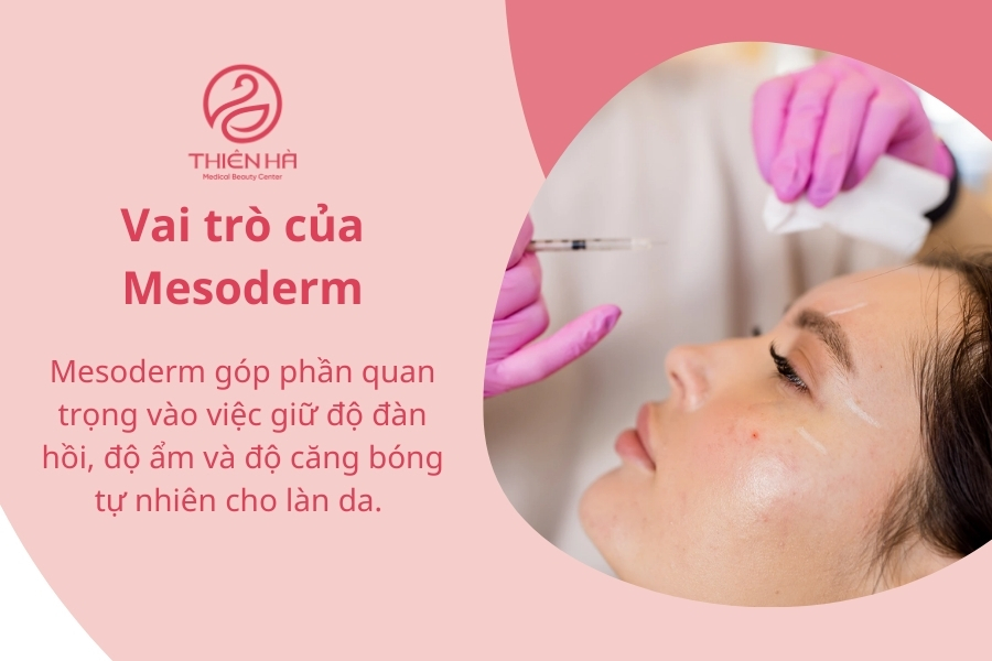 Chăm sóc và phục hồi chức năng của mesoderm là yếu tố then chốt trong các liệu pháp trẻ hóa da hiện nay.