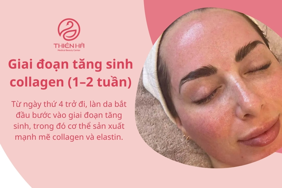 Giai đoạn tăng sinh collagen (1–2 tuần)