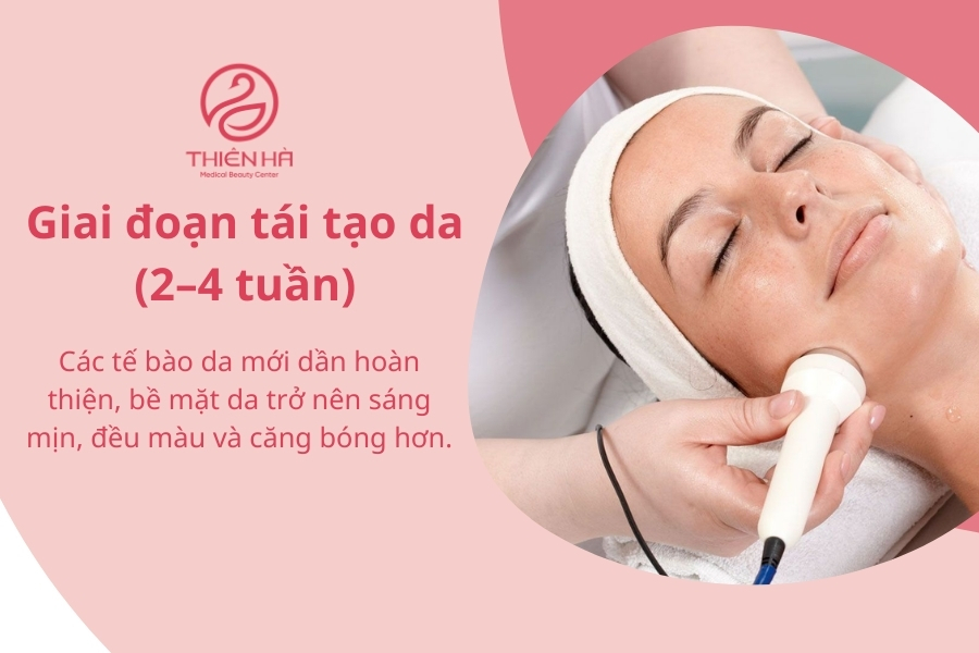  Giai đoạn tái tạo da (2–4 tuần)