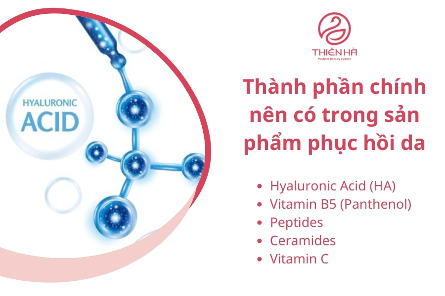 Thành phần chính nên có trong sản phẩm phục hồi da