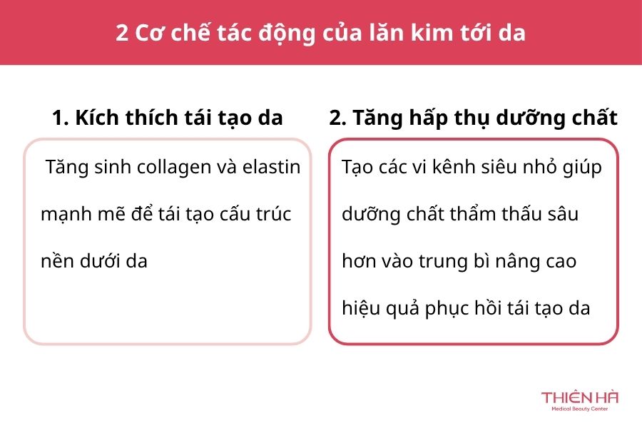 Giải đáp thắc mắc: Sau lăn kim bao lâu da trở lại bình thường? 1 Cơ chế tác động của lăn kim tới da