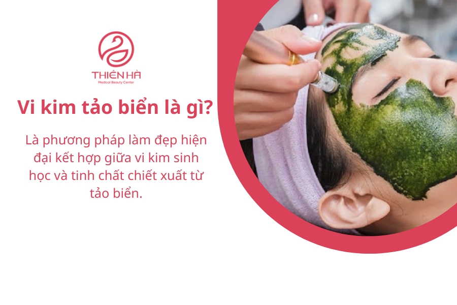 Vi kim tảo biển là gì?