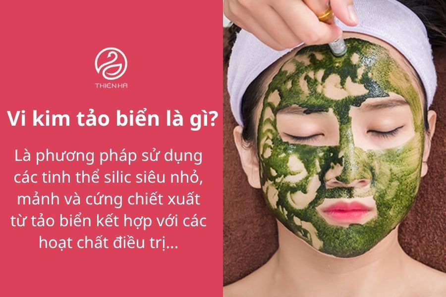 Vi kim tảo biển: Tác dụng, quy trình & lưu ý từ Bác sĩ Thiên Hà 1 Vi kim tảo biển là gì?