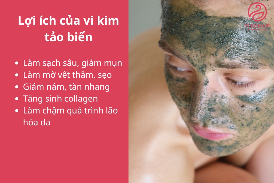Lợi ích của vi kim tảo biển