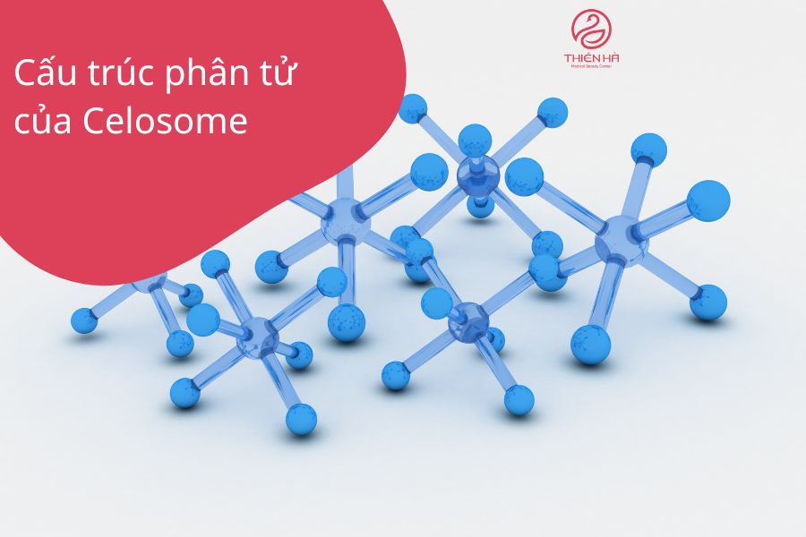 Cấu trúc phân tử của Celosome