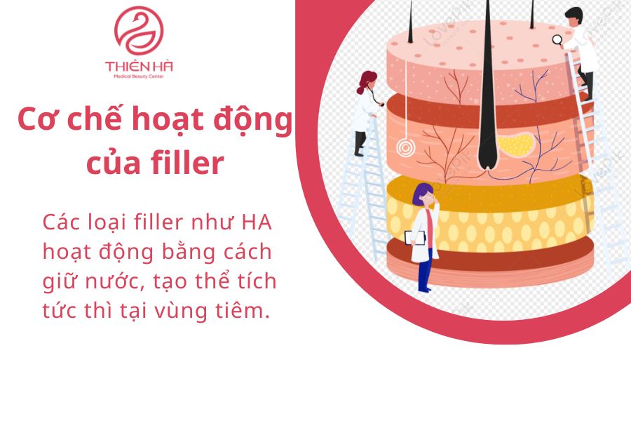 Cơ chế hoạt động của filler