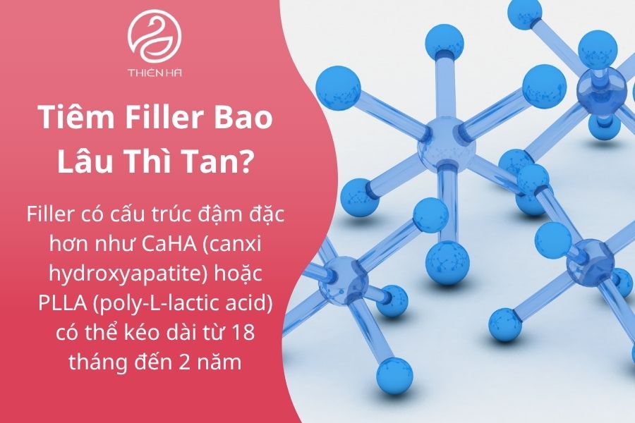 Cấu trúc phân tử của filler và quá trình tan