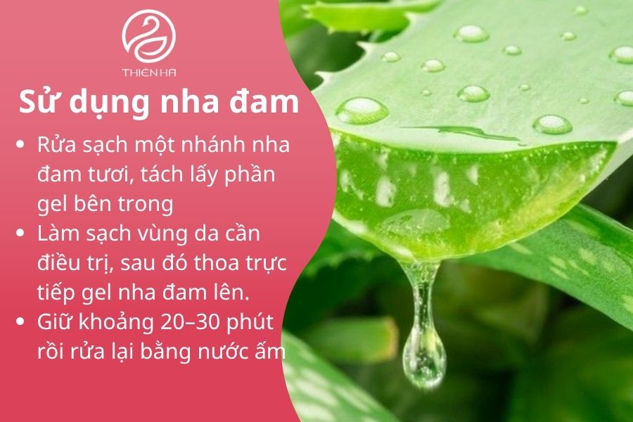 Cách sử dụng nha đam làm mờ sẹo