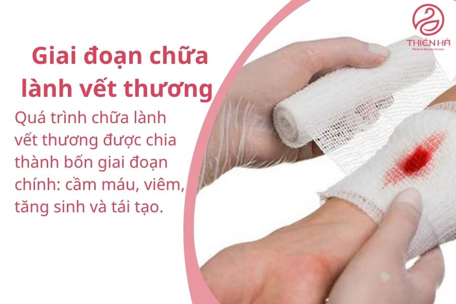 Các giai đoạn chữa lành vết thương