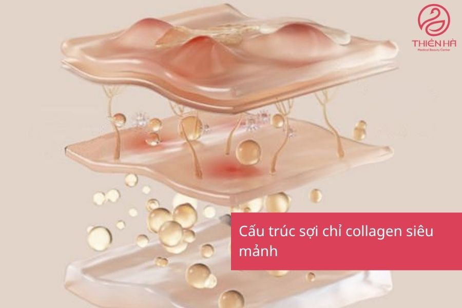 Cấu trúc sợi chỉ collagen siêu mảnh